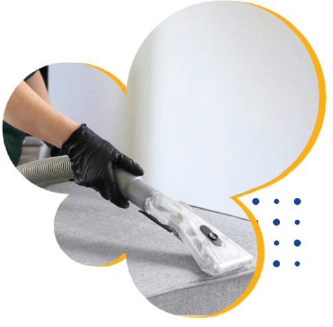 Teppichreinigung mit Dampfsauger